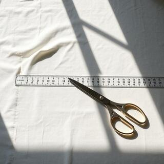 Morning light on cutting table